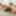 2 BBW teach a stranger how to behave at Plumperd #6