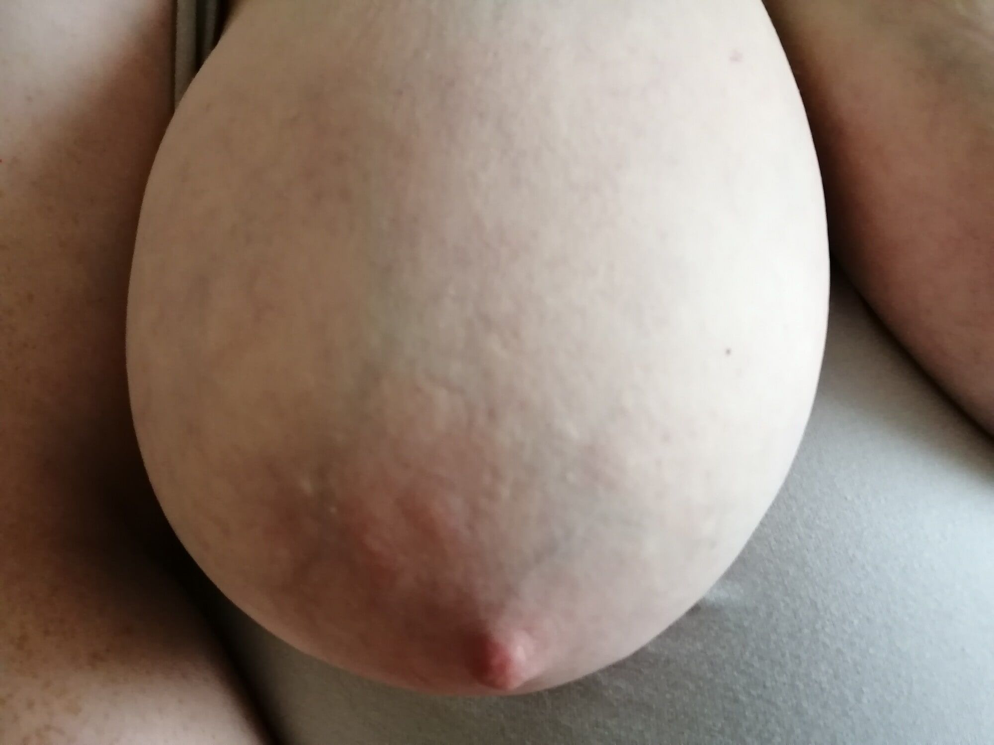Good-quality photos of my tits #50