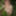 Wanking in the woods #26
