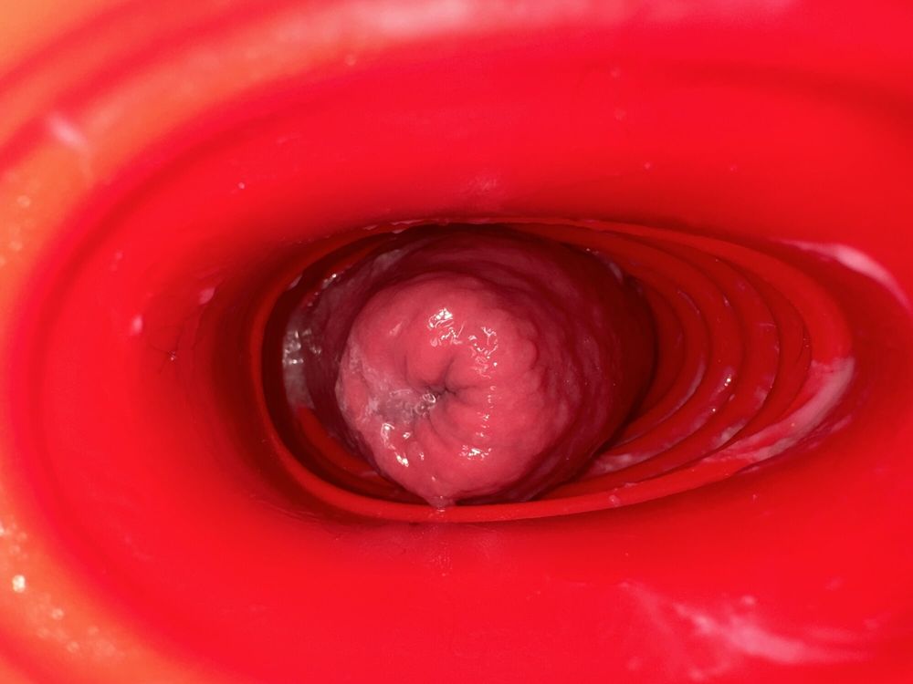 Anal prolapse in oxball ff pighole #8