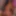 Ücretsiz Lola Fotoğrafları