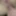 Pierced pussy and dick
