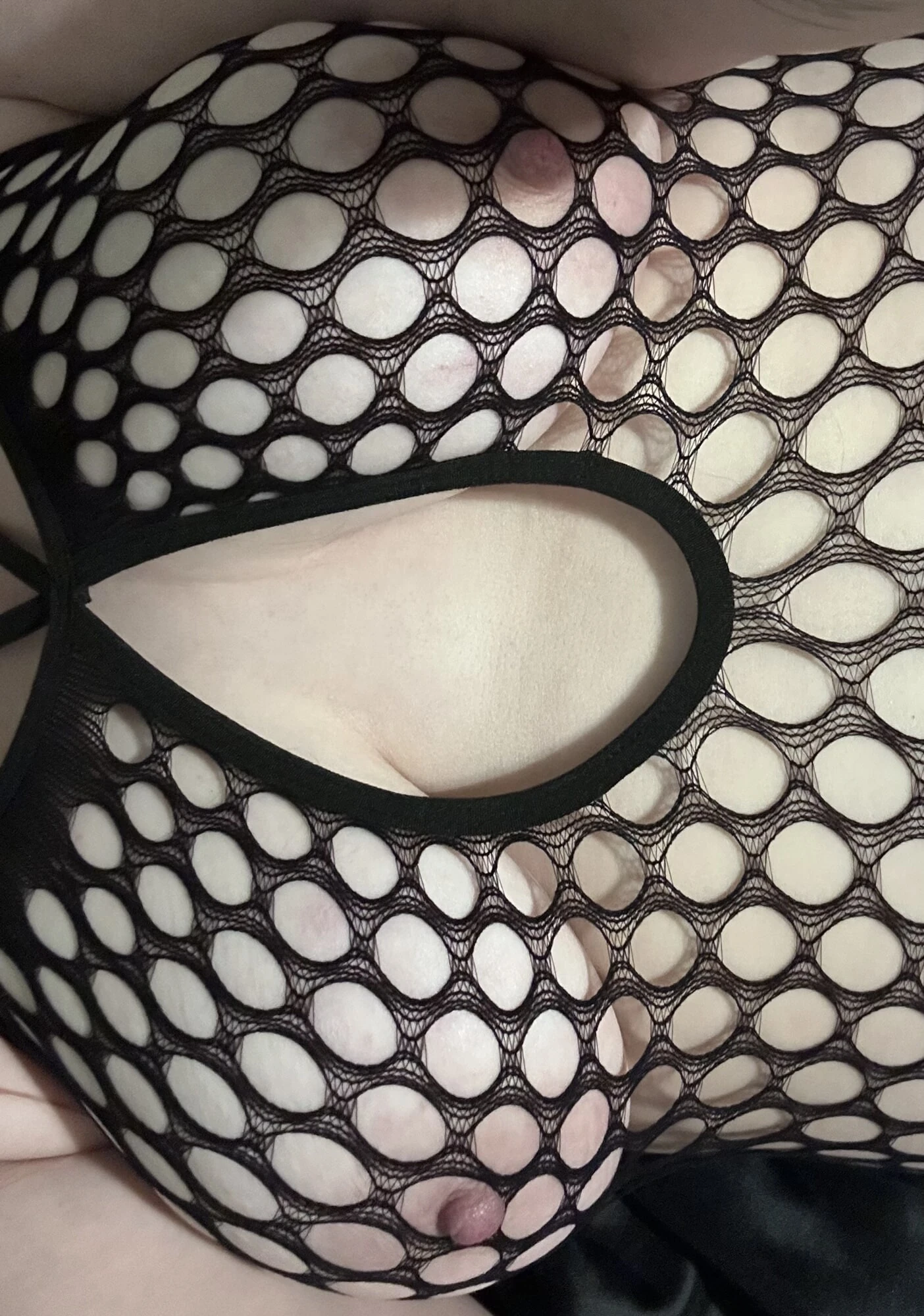 Fishnet
