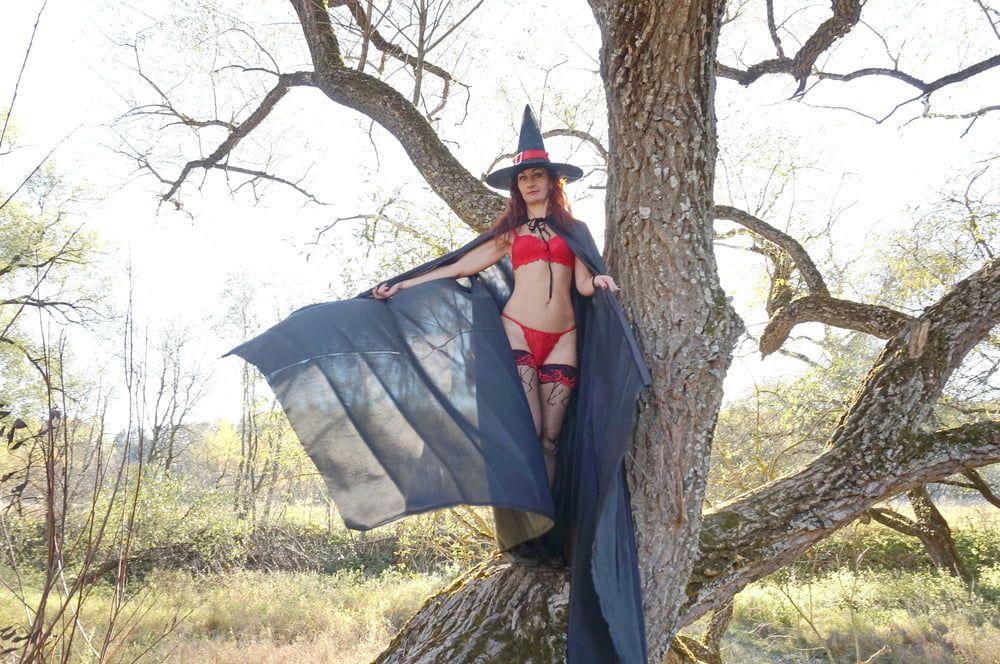 Witch on the Tree #18