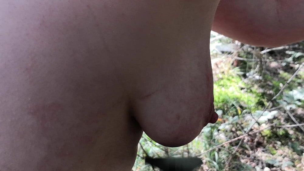 Naked Tits and Ass whipping in woods #42