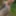 Naked Walks in the german forest and sometimes on the street #6