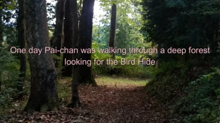 naked pai chan in the tranny hunters forest         