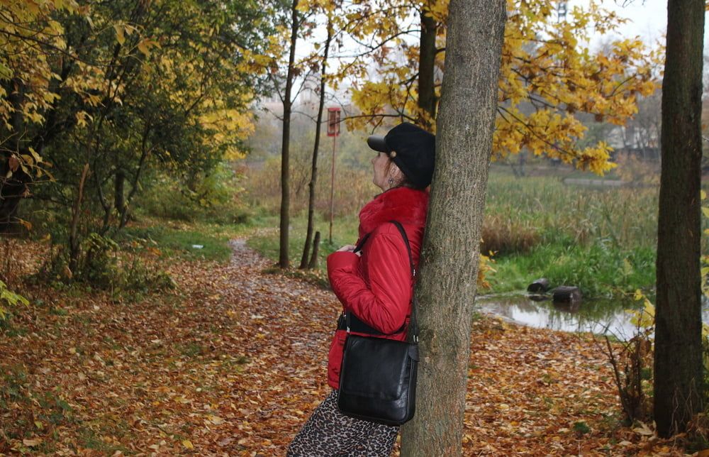 red jacket and yellow leaves #32