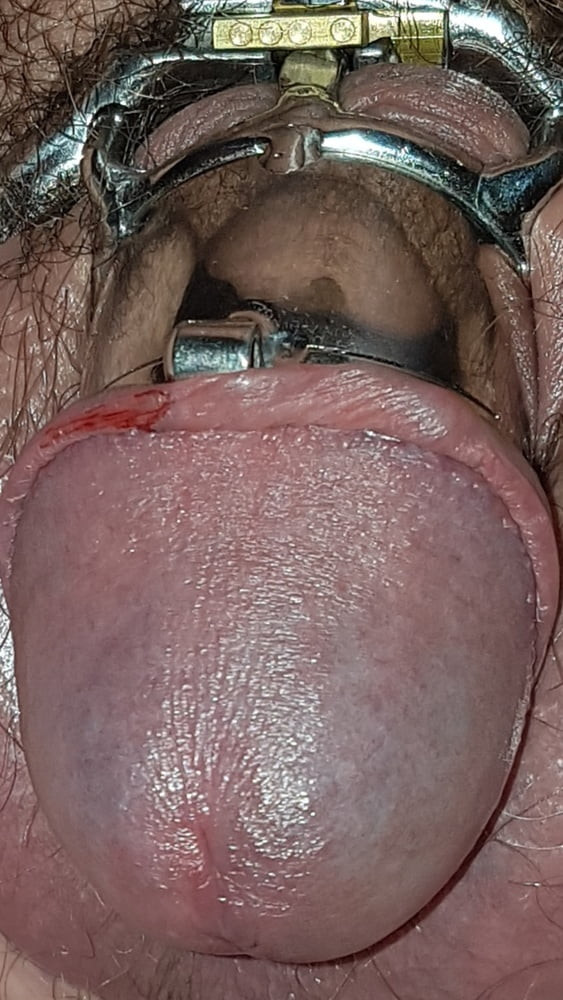 Chastity cage #33