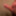 거 대 한 enouch?