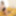 Rena :: Perfect Responds To Any Cocks - CARIBBEANCOM #4