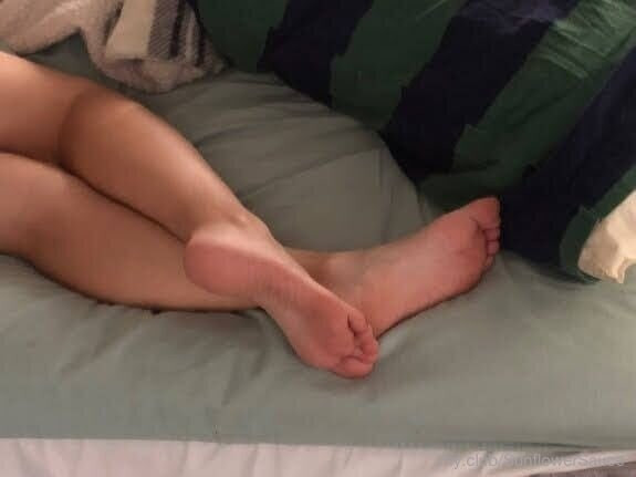 🌻 Sunflower.Sauce  Free Photos #24