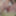 Yui Kisaragi :: Alternated BJ And Insert 2 - CARIBBEANCOM #12