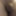 Small Cock