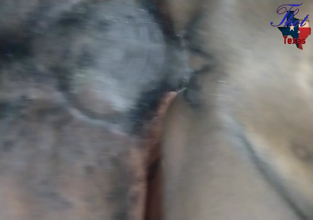 Ass n Pussy #60