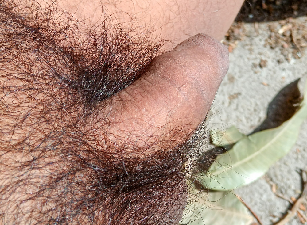 My nice flaccid penis after 9 months without shaving #7