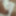 Amateur guy jerks off his uncut huge cock standing on knees #20
