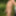 Dick Pics