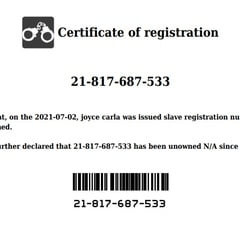 slave registry