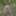 I'm waiting for you in the woods - would you fuck me here?