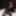 Ücretsiz Vikki Fotoğrafları