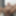 Daddy goes ecstatic on cam - ilovetobenaked #8