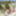 Fotos am Fkk Strand #7