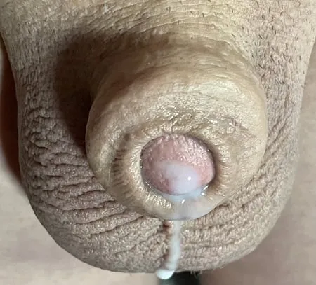 tiny micro cock my little one inch bitch dick         