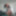 New Album 2025 #12