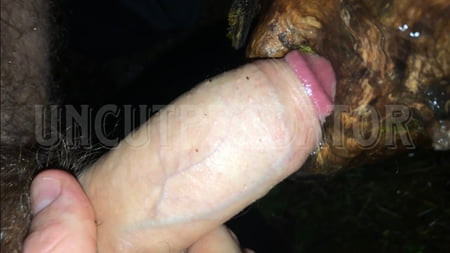 Fat cock fucking a hole