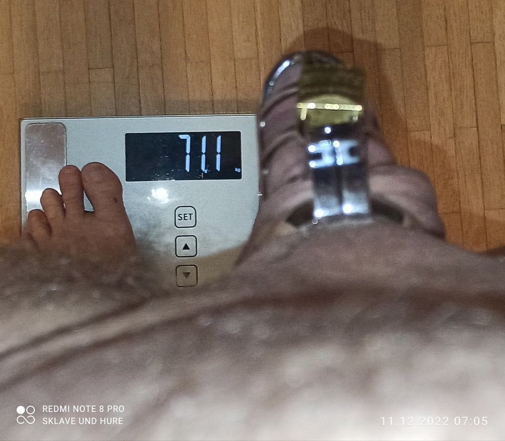 11.12.2022 mandatory weighing, cagecheck, nippelpay, plug #3