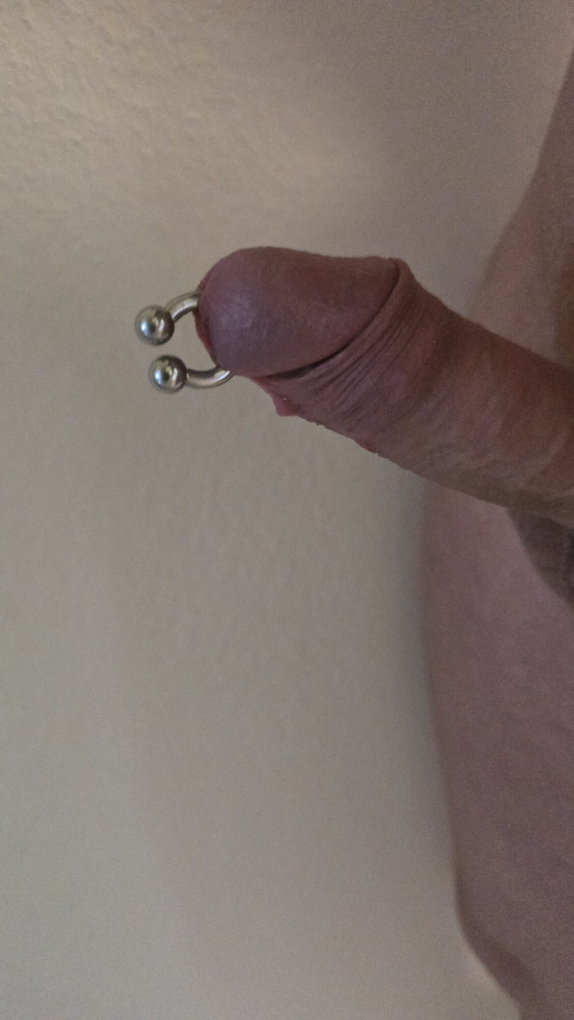 Prieced cock prince albert piercing 