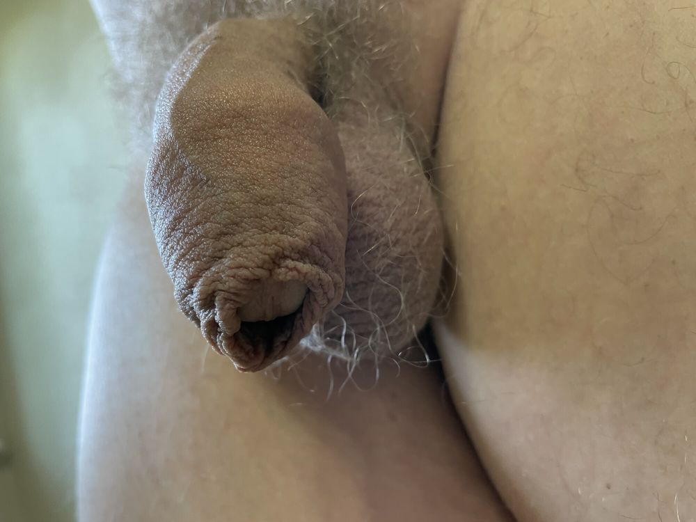 Uncut penis soft