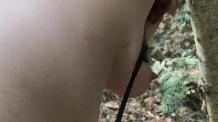 naked tits and ass whipping in woods         