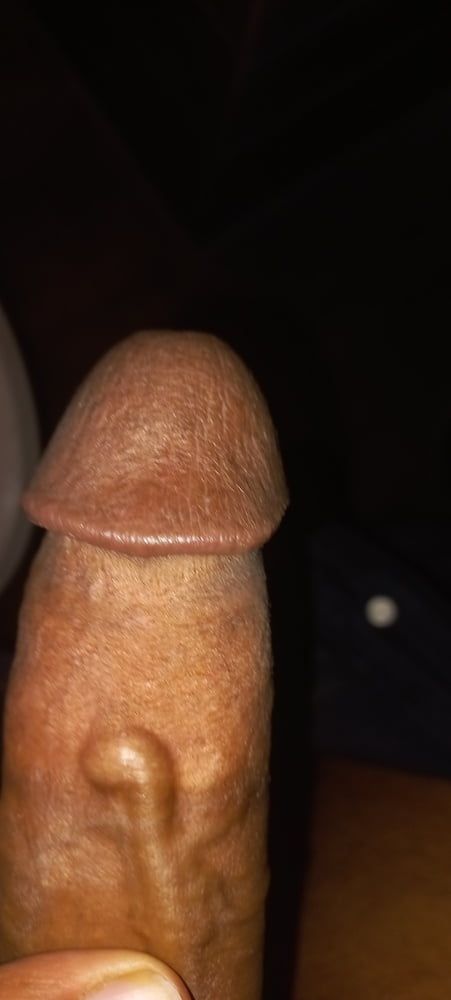 Cock  #2