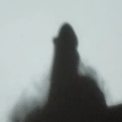 Shadow Dick