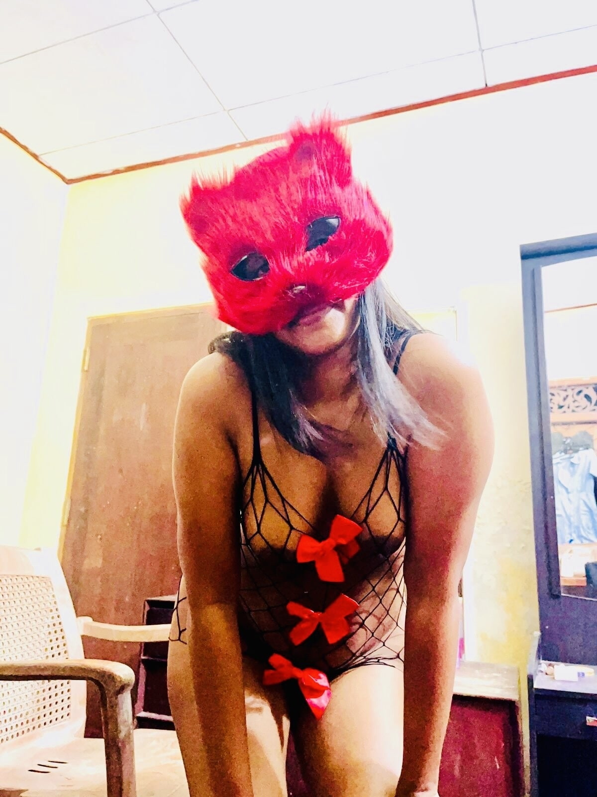 Wild cat