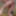 exhibitionist assplay cumshot compilation