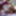 Cat Rin Free Photos