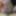 GIF Latina MILF - MILF,Latina,Anal,Big Ass,Facial,Blowjow