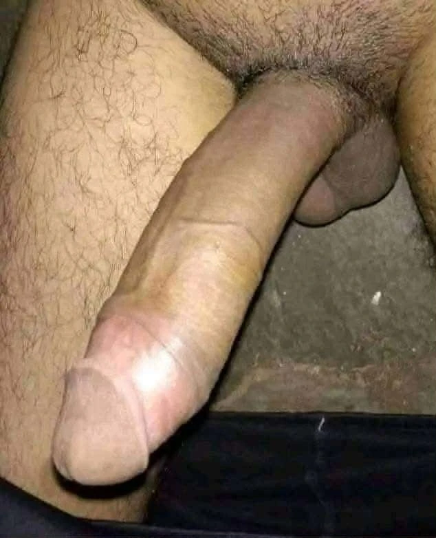 Big panis