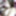 Cute coed Alisha gets a big facial