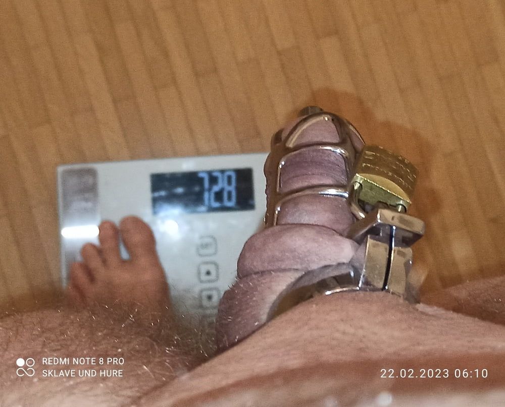 Daily cagecheck, mandatory weighing 22.02.2023 #6