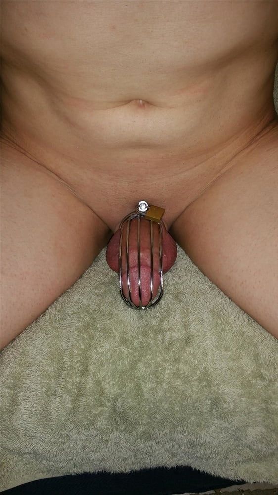 Cock in chastity