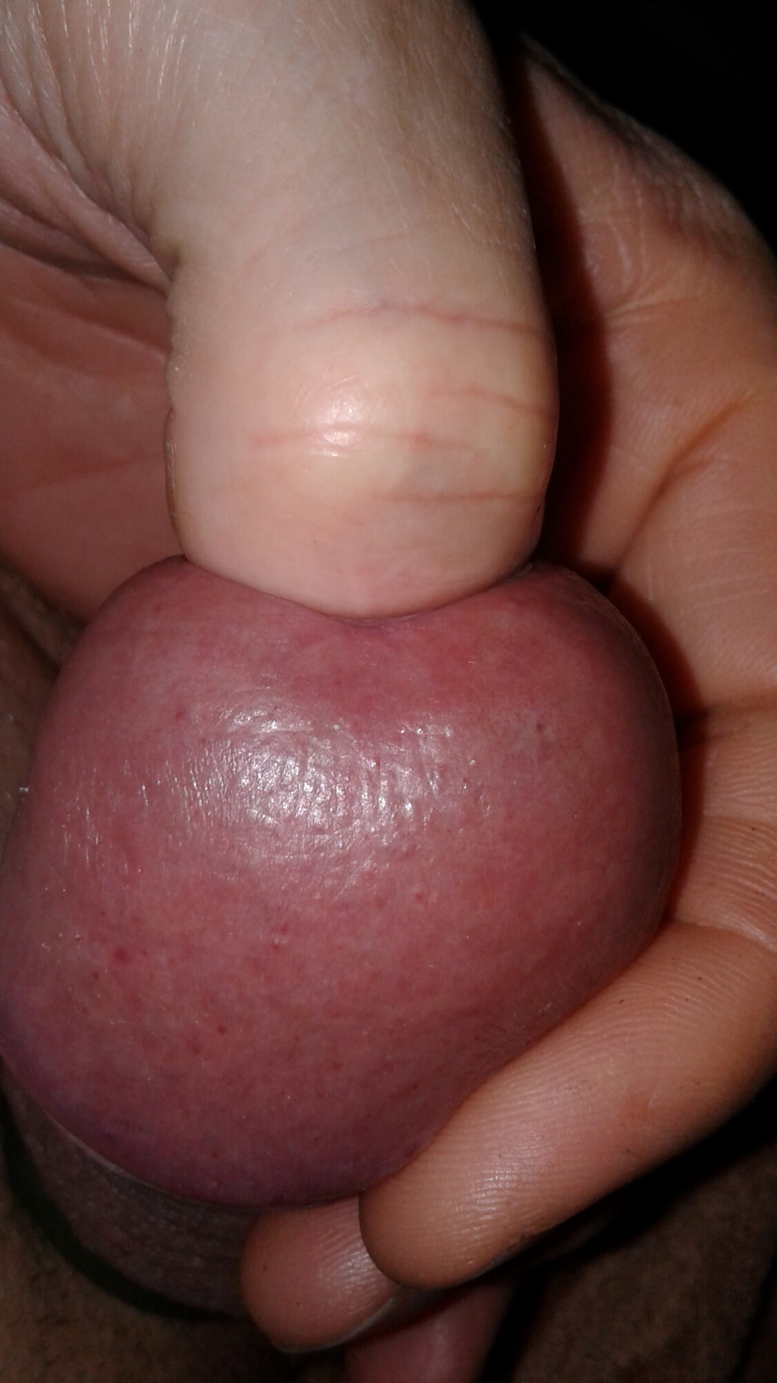 Cock #3
