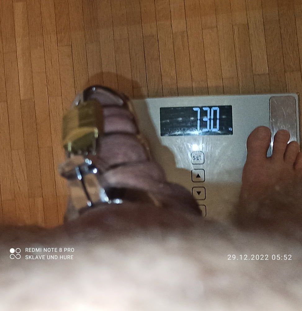 mandatory weighing and cagecheck of 29.12.2022 #9