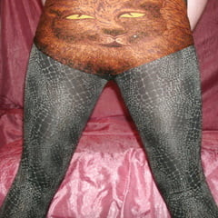  Sexy kitty