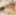FEMOUT.XXX: Introducing Scarlett Fox