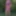 Flowered dress #31