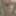 Hairy irish gifs 
